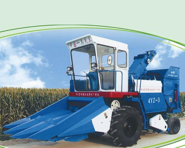 a01.jpg